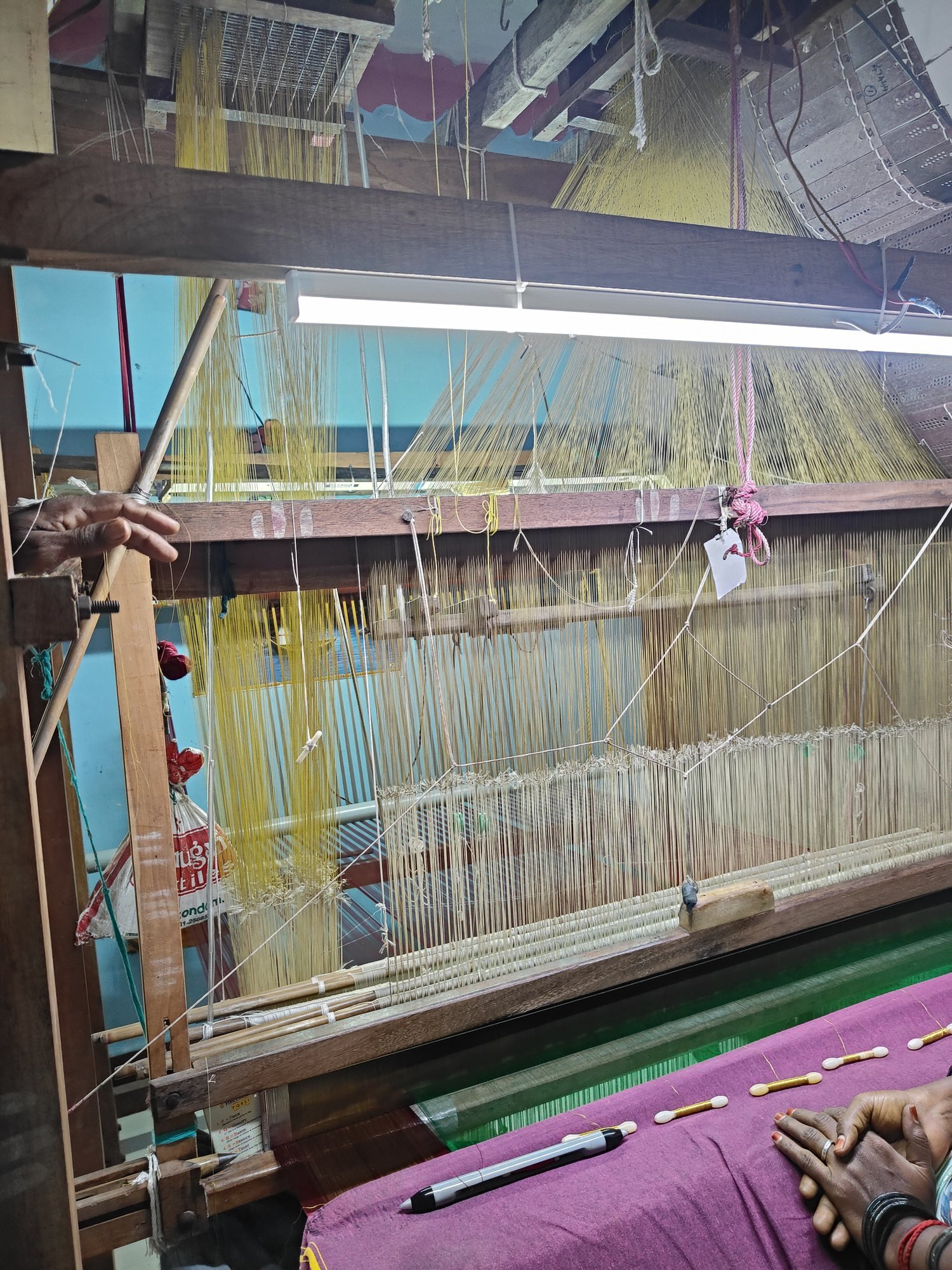 Handloom threads arranged for weaving
