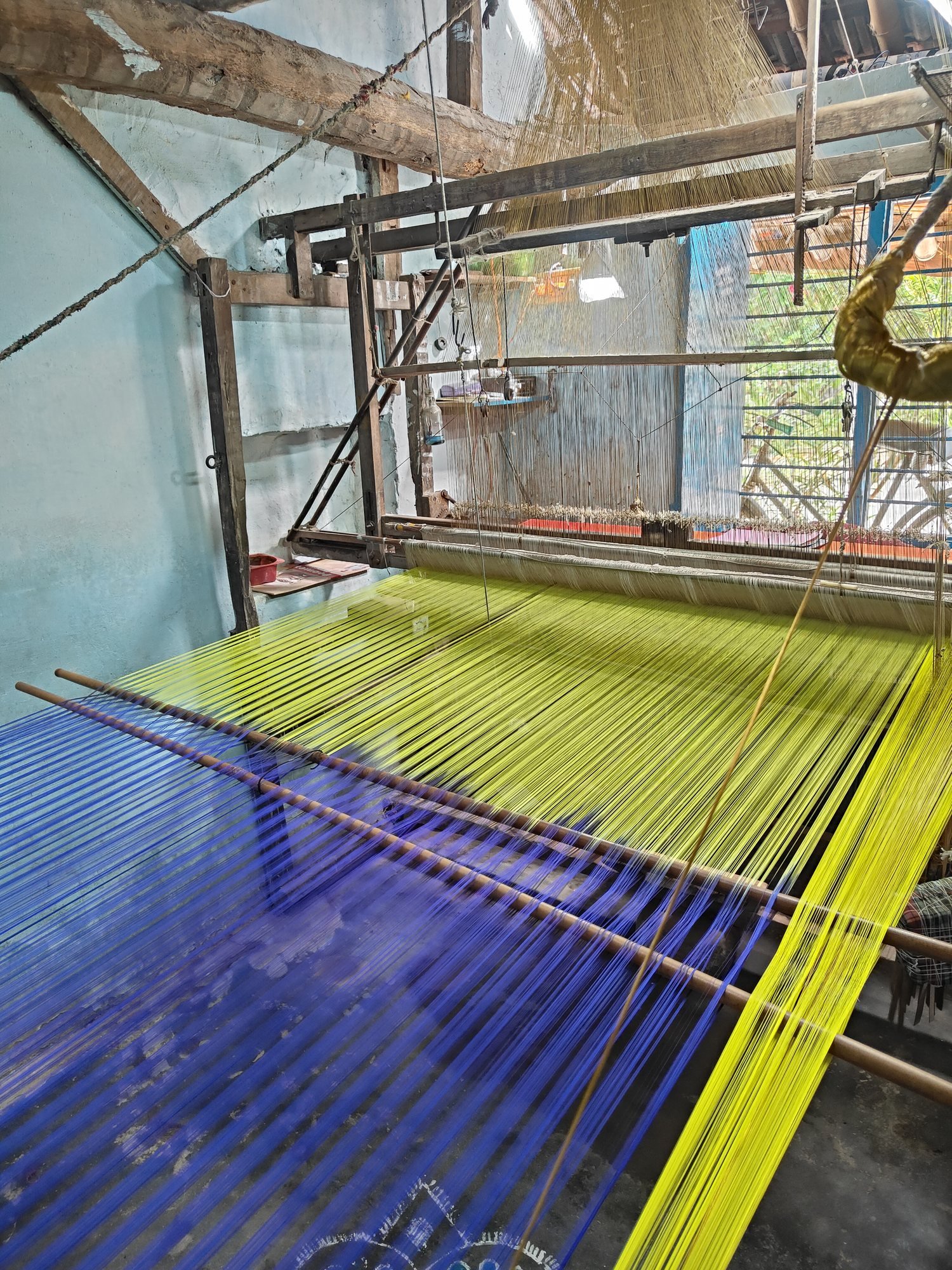 Blue and yellow silk threads stretched on the loom